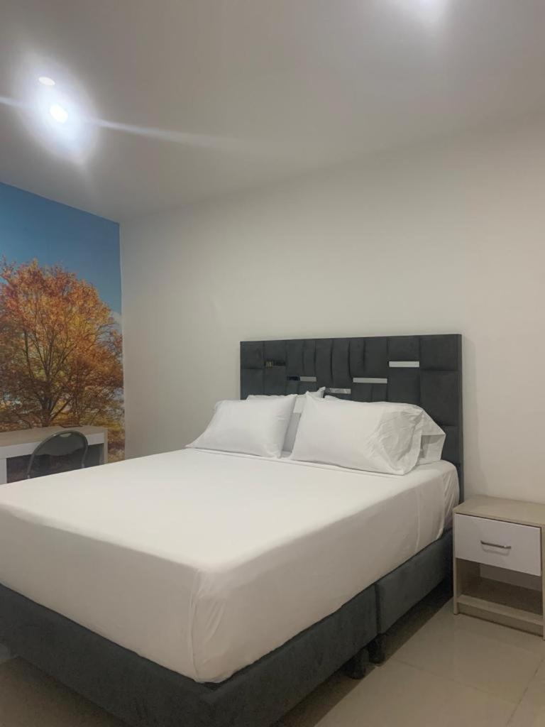Hotel Granada Loft كالي المظهر الخارجي الصورة